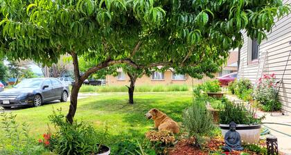 Westward Ho! - Great Central Location - Hot Tub - Olde Town Arvada