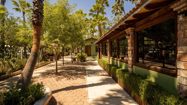 A pathway lined with potted plants and trees, leading to a building with large windows and a green facade. - Rancho Maria Teresa (Valle de Guadalupe)
