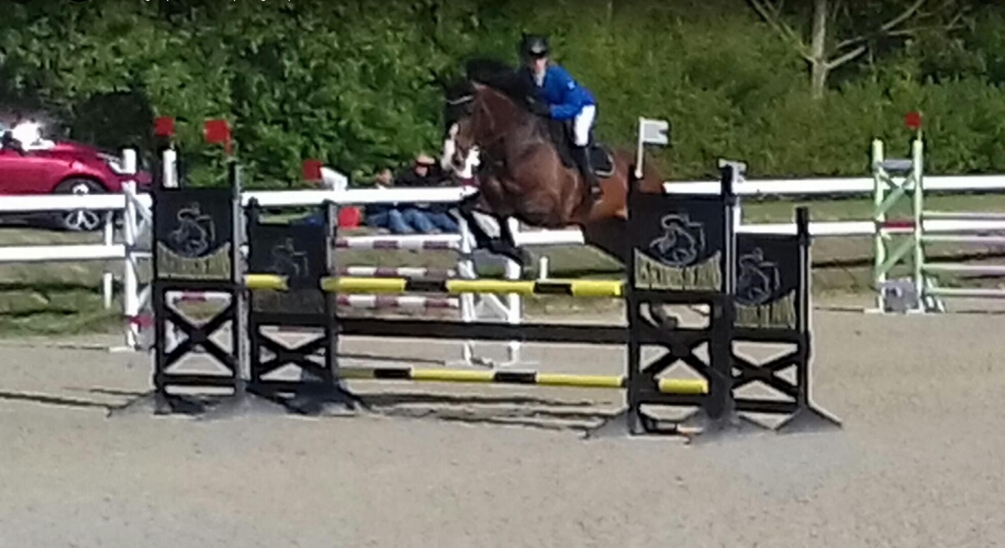 A horse jumping over an obstacle.