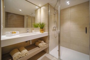 Ducha, secador de pelo, toallas, papel higiénico