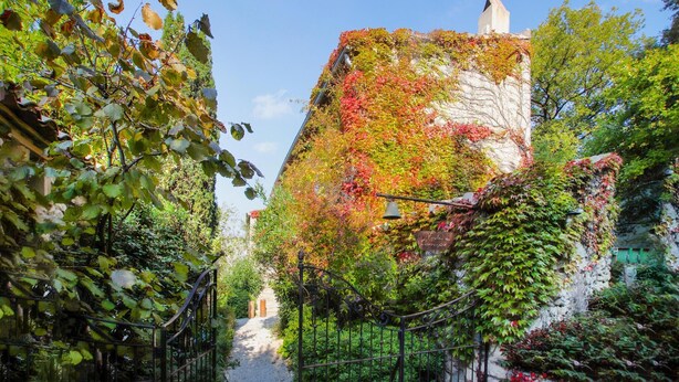 A pathway leading to a building partially covered with ivy. - Gorgeous home in Clansayes Clansayes (clansayes Clansayes)