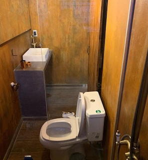 Appartement Supérieur, vue montagne | Salle de bain | Serviettes fournies, savon, shampoing, papier toilette