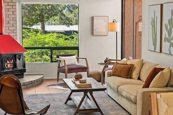 Smart TV, chimenea, libros