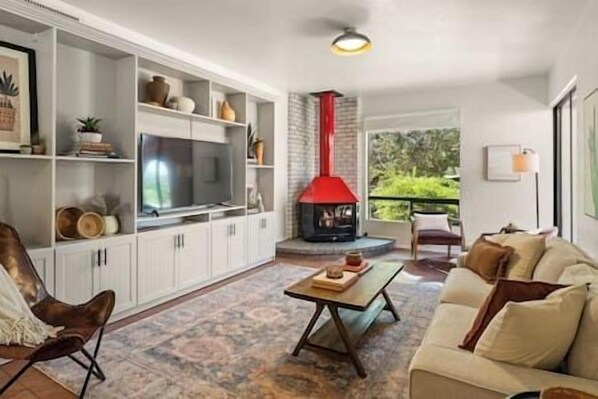 Smart TV, fireplace, books