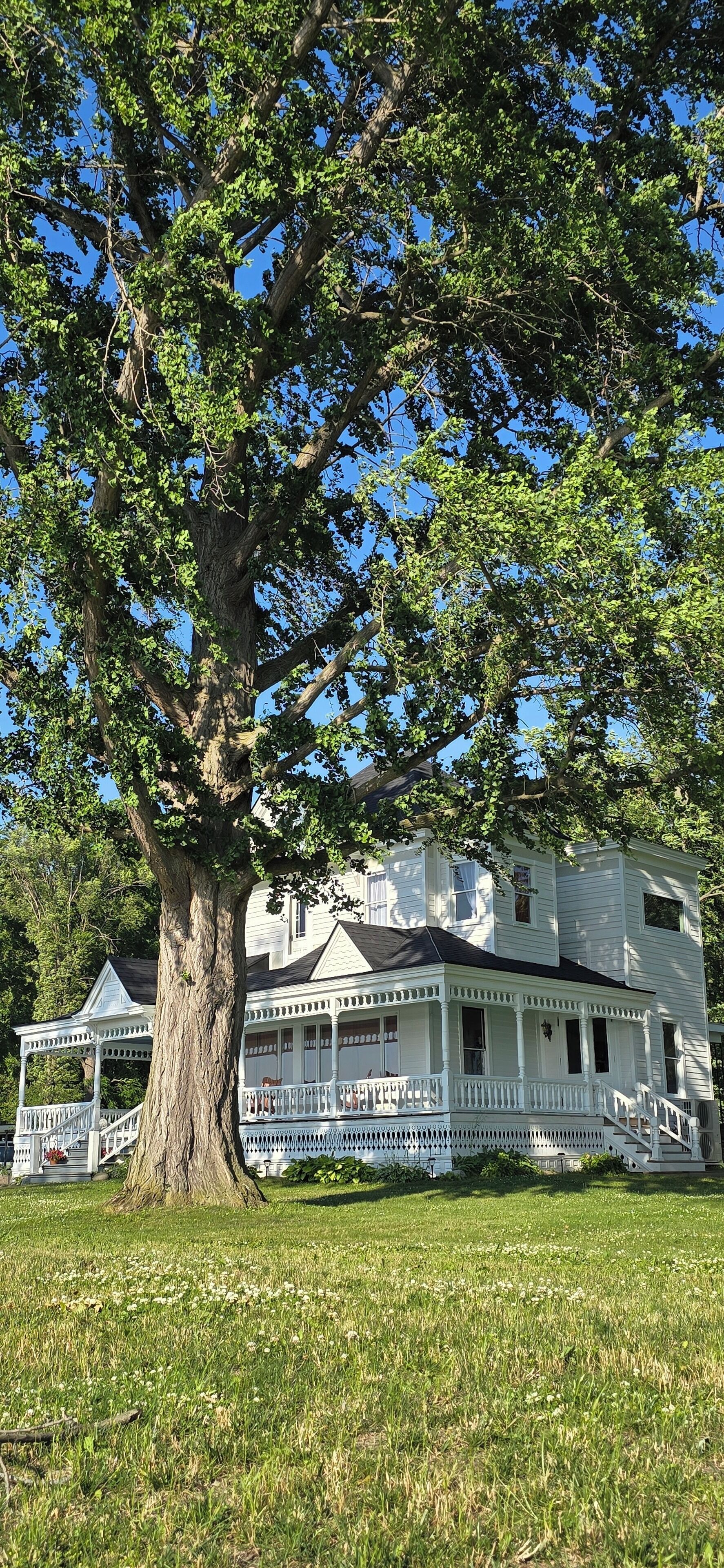 A large white house with a porch and a large tree in front.