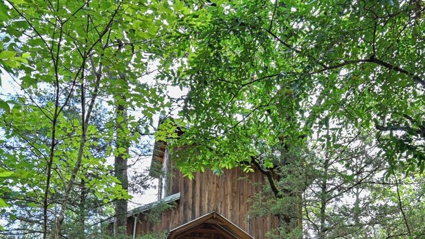 A wooden cabin with a staircase leading up to it, surrounded by trees. - Wyldkin Treehouse (Scott County)