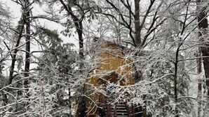 A wooden staircase leading to a treehouse entrance, surrounded by snow-covered trees. A sign in front reads "Treehouse." - Wyldkin Treehouse (Scott County)
