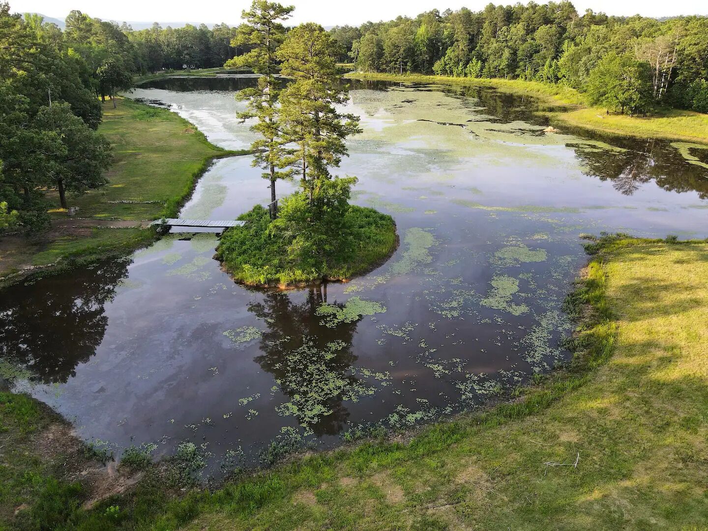 A river with a small island surrounded by water lilies and trees.