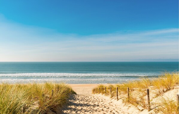 Beach - 1 bedroom cozy apartment in Audenge (Audenge)