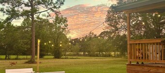 Charming 2-bedroom cottage in lovely Folsom with WiFi, AC and gorgeous views