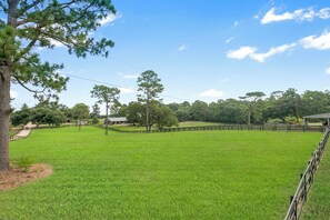 Property grounds - Charming 2-bedroom cottage in lovely Folsom with WiFi, AC and gorgeous views (Folsom)