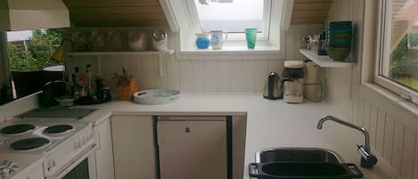 Fridge, oven, stovetop, dishwasher