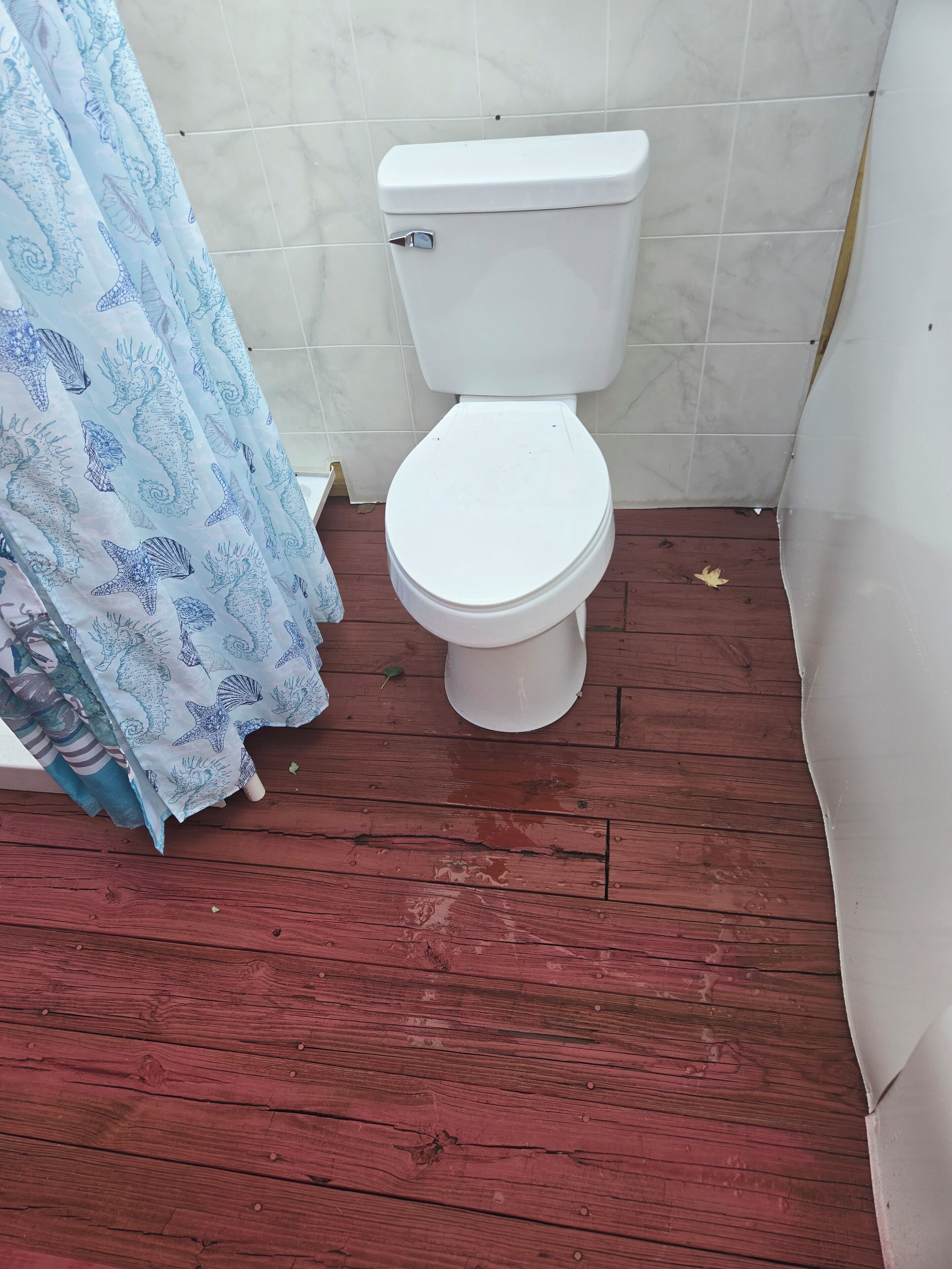 Een badkamer met een wit toilet, een douchegordijn met een blauw strandpatroon en een houten vloer.