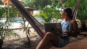 Eine Person sitzt auf einer Hängematte mit einem Laptop, umgeben von viel Grün und einem Pool.