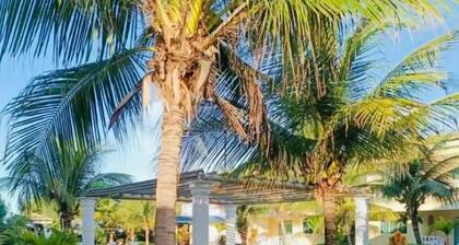 Condominium - Green Paradise -