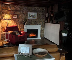 Televisión, chimenea, reproductor de DVD y libros 