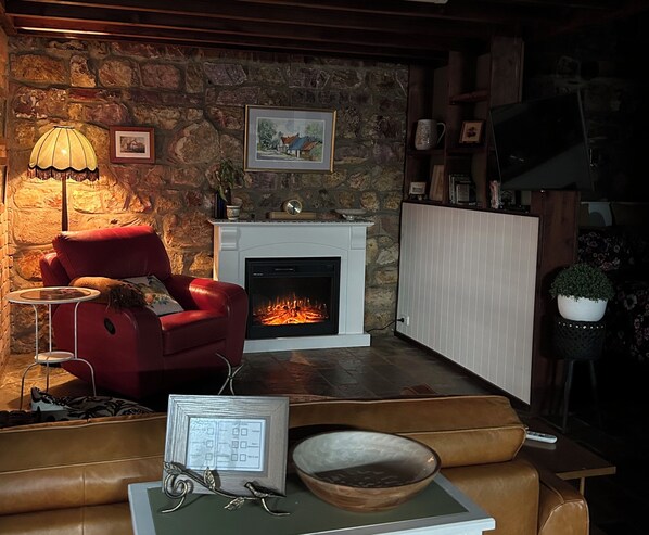 TV, fireplace, DVD player, books