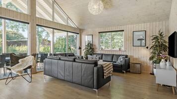 TV, fireplace, foosball, table tennis