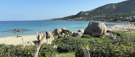 在海滩