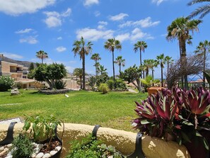 Property grounds - MIRAVERDE HEATED POOL (Costa Adeje)