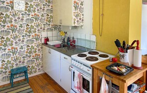 Fridge, stovetop, cookware/dishes/utensils