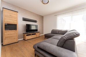 Fernseher, Kamin