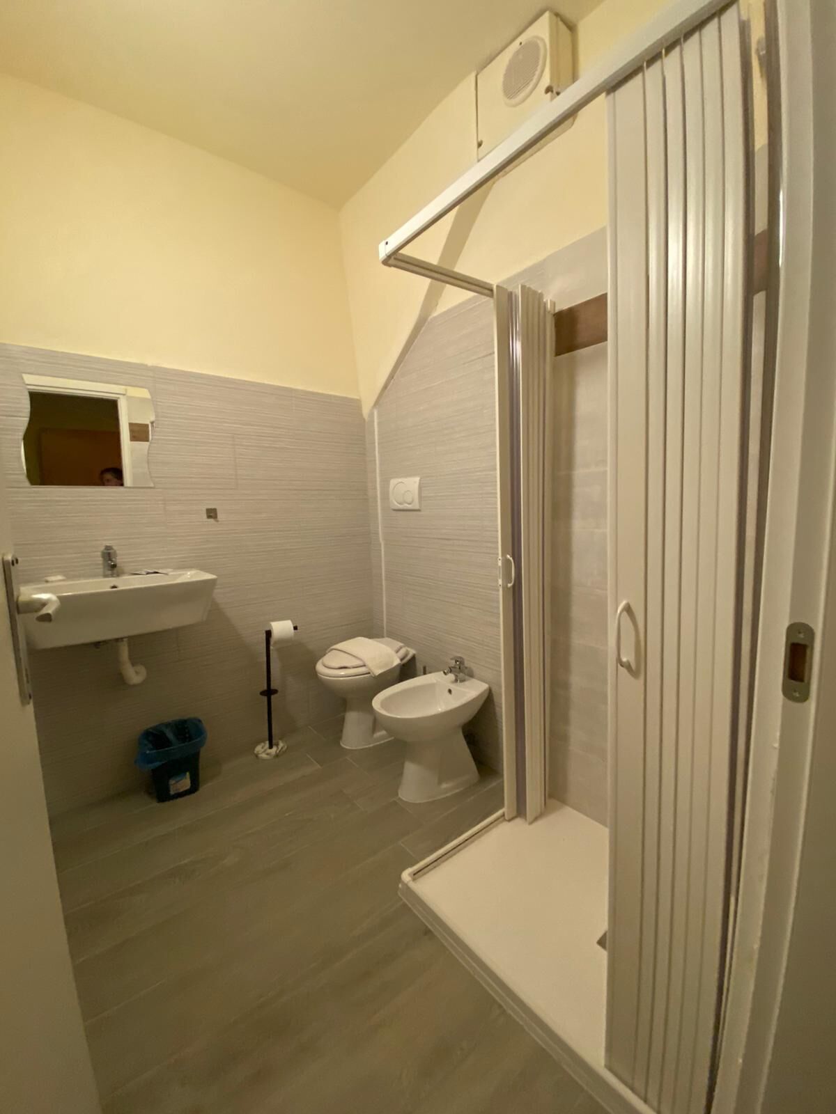 A bathroom with a sink, toilet, bidet, and shower.