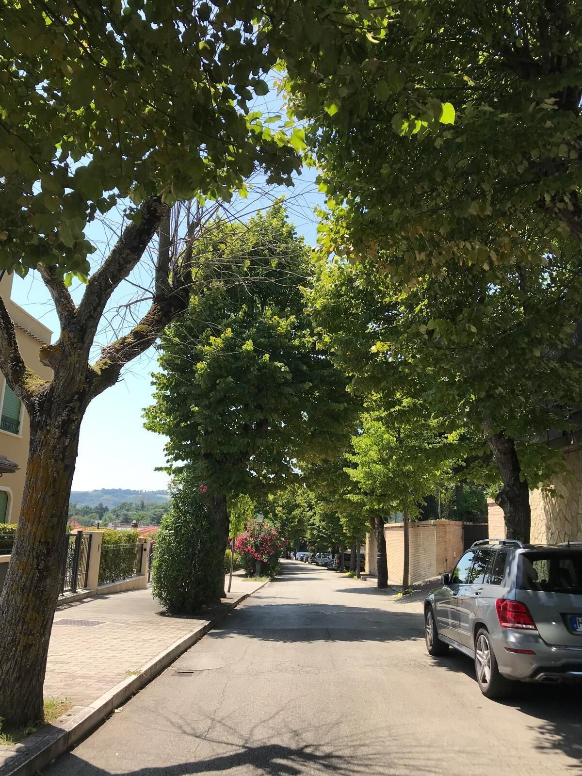 Una calle arbolada con un coche estacionado y un edificio a la izquierda.