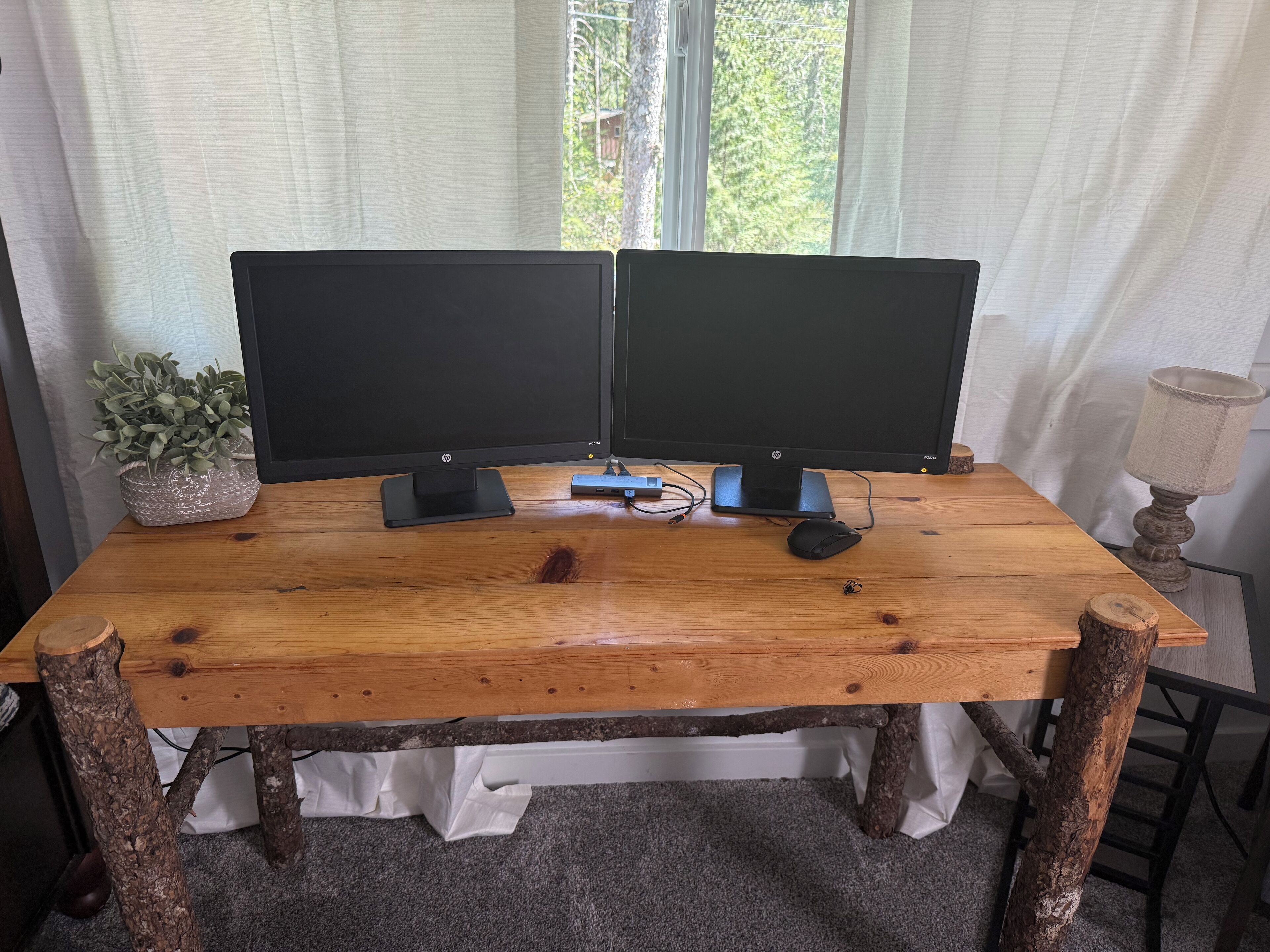 Una scrivania in legno con due monitor, una pianta e una lampada.