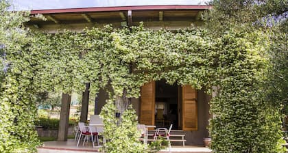Quiet,amid olive trees,BBQ,garden,free parking,10 min drive to centre & motorway