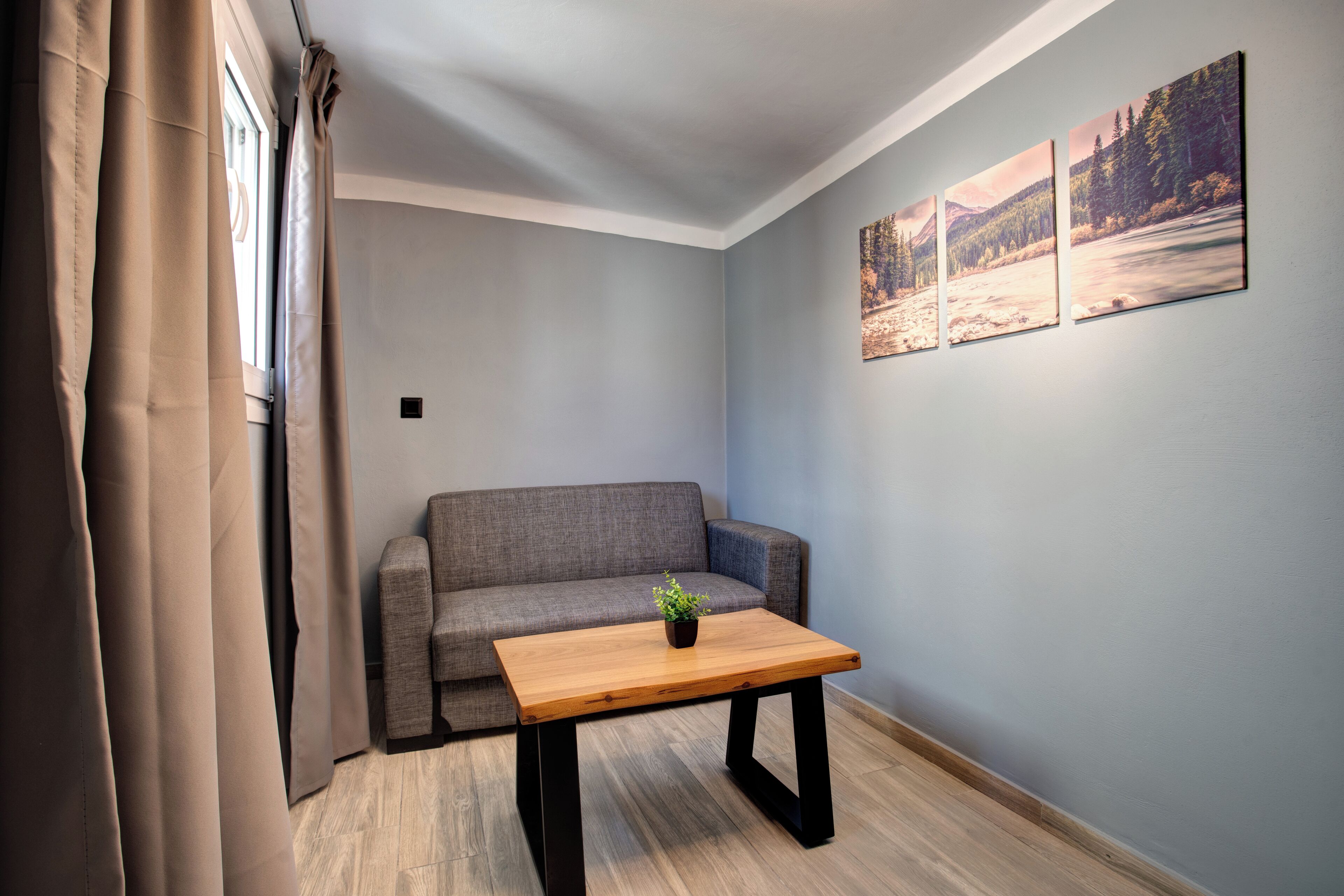 Un petit salon moderne avec un canapé gris, une table basse en bois et une plante en pot.