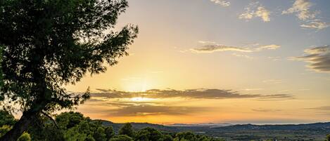 Un paysage avec un arbre imposant et un coucher de soleil sur une région vallonnée.