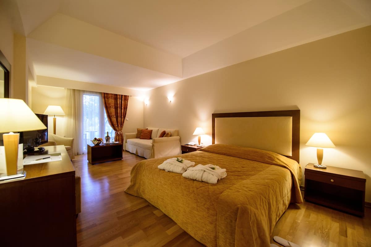 Chambre Standard Double ou avec lits jumeaux, balcon, vue jardin | 1 chambre, minibar, coffres-forts dans les chambres
