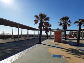 Stroll along the beautifully patterned walkway, lined with palm trees and a charming kiosk.
