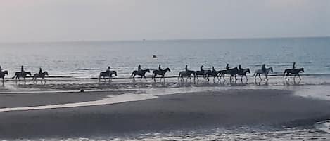 Platja
