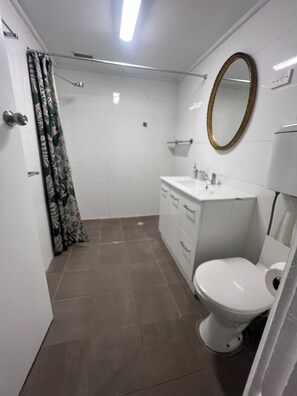 Shower, towels, toilet paper