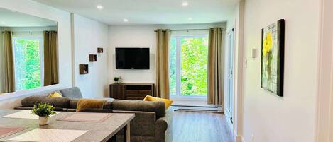 Fernseher, Arbeitsbereiche