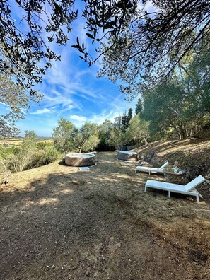 Àrea exterior de l'allotjament