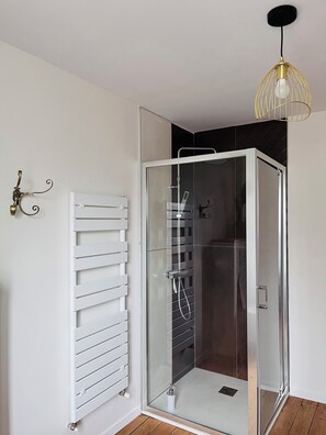 Shower, hair dryer, soap, toilet paper