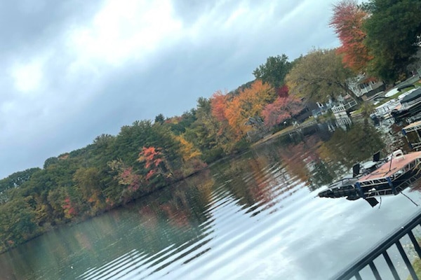 Miscellaneous