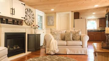 TV connectée, cheminée, lecteur de DVD, livres