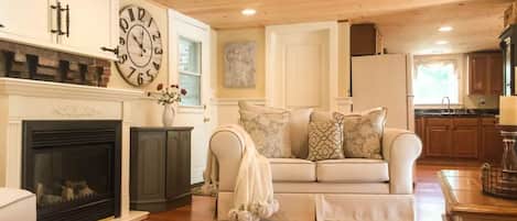 Smart TV, chimenea, reproductor de DVD y libros