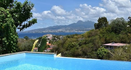 T3 private pool- Cannelle Terrasses de la wallon