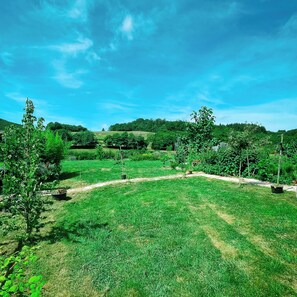 Jardines del alojamiento