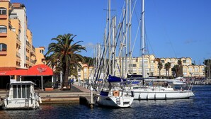 A marina with multiple sailboats docked, a palm tree, and buildings with balconies.