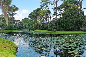 A serene pond with lily pads surrounded by lush greenery and trees. - 5 MINUTES TO SIESTA KEY! PRIME LOCATION, STEPS TO THE POOL, COMPLETELY UPDATED! (Sarasota)