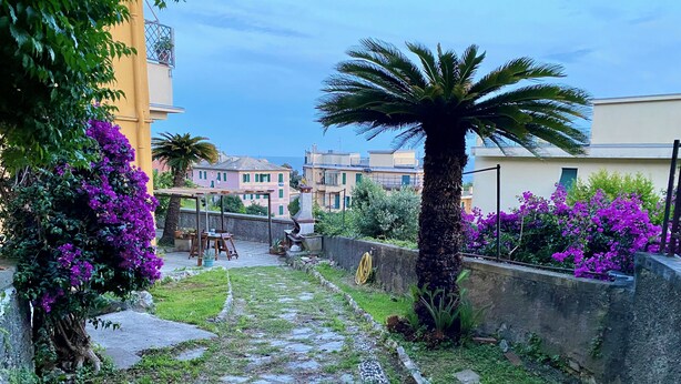 Un chemin de jardin bordé d’un palmier, de fleurs violettes et d’une pergola.