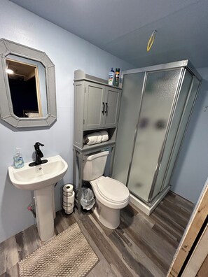Une salle de bain avec un lavabo, des toilettes et une douche.