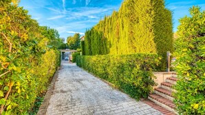 Un sendero pavimentado bordeado por abundante vegetación y una escalera de ladrillo que conduce a un edificio.