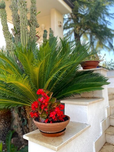 Villa con due appartamenti indipendenti 